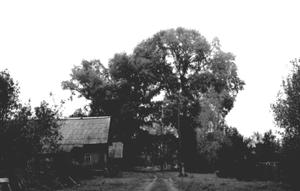 6. Улица просторная ровная, удобно было собираться на вечёрку.